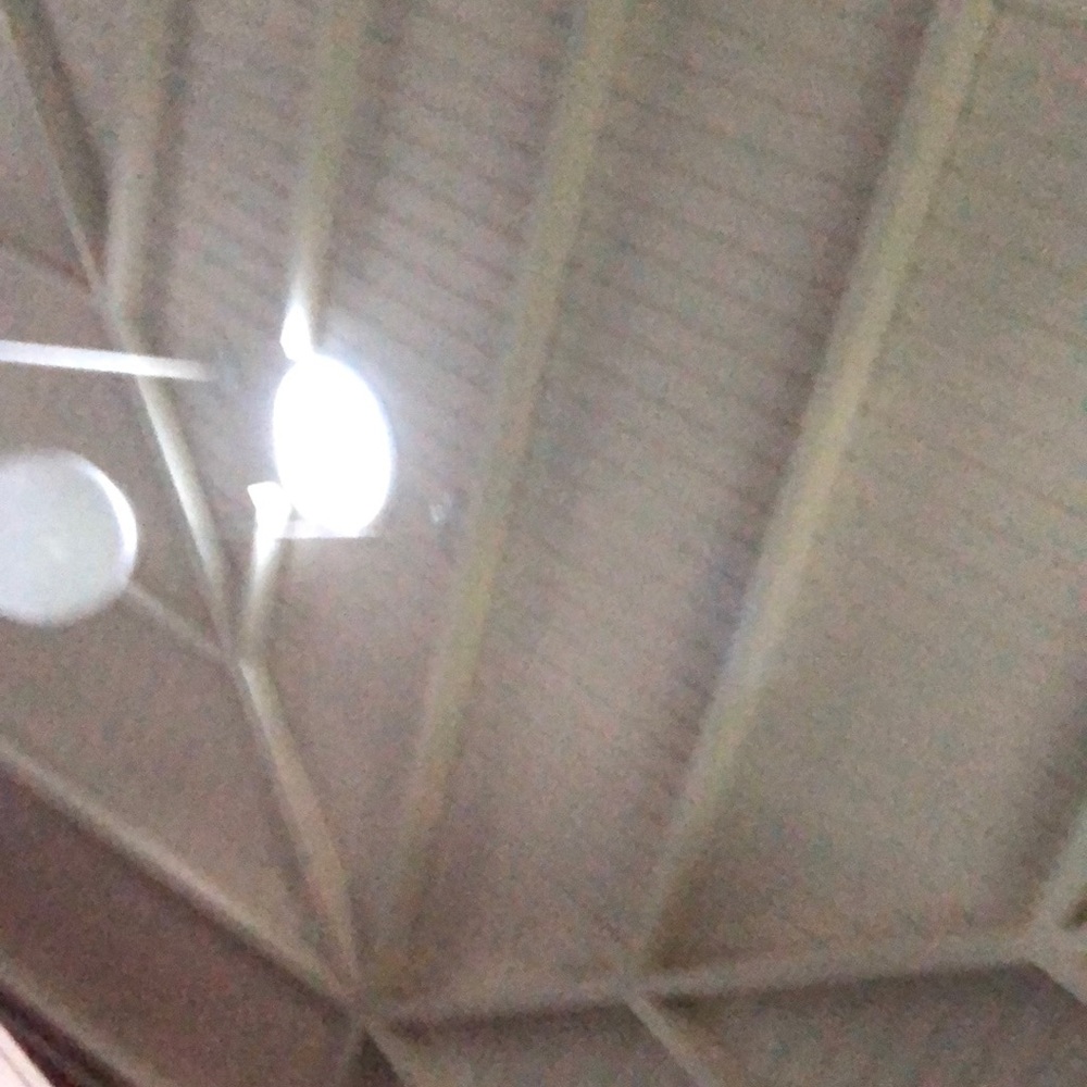 Meet your Posher, Stella